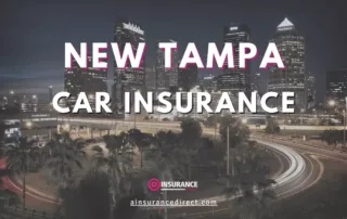 Cheap Car Insurance in New Tampa