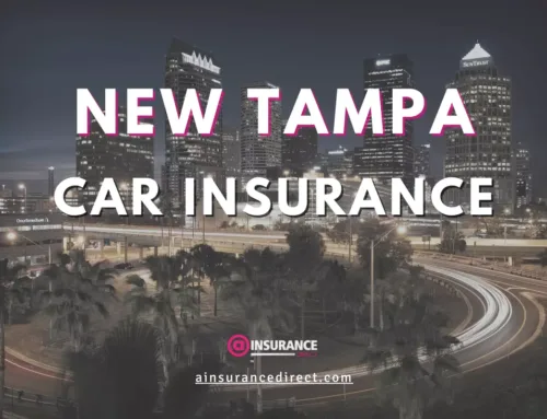 Cheap Car Insurance in New Tampa, FL